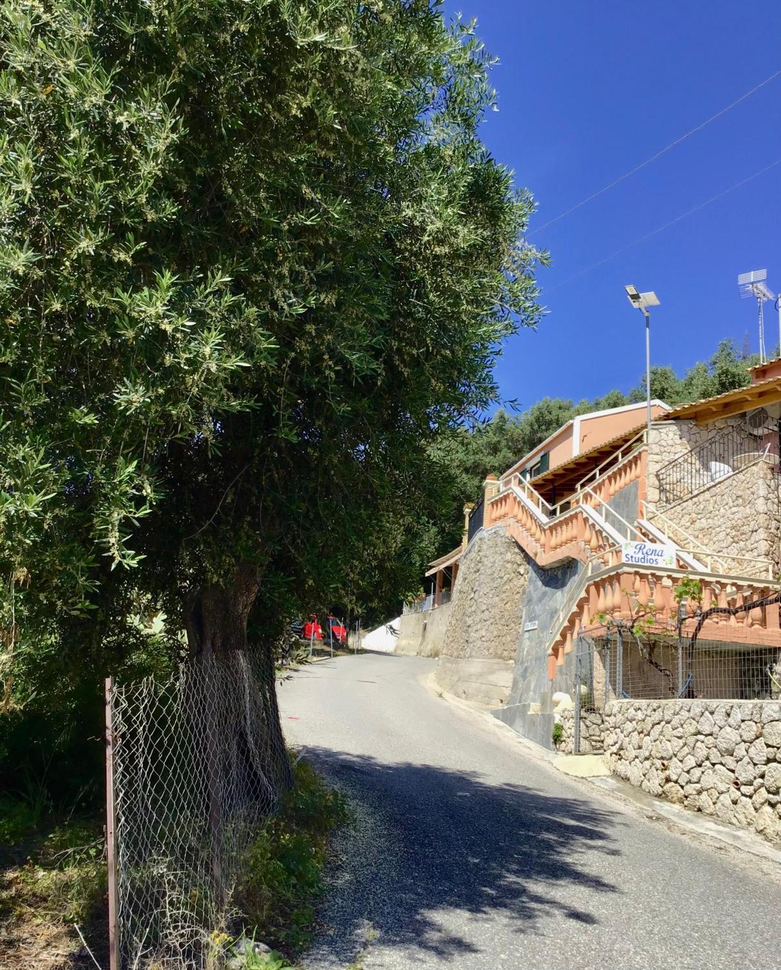 Rena Studios Παλαιοκαστρίτσα Εξωτερικό φωτογραφία